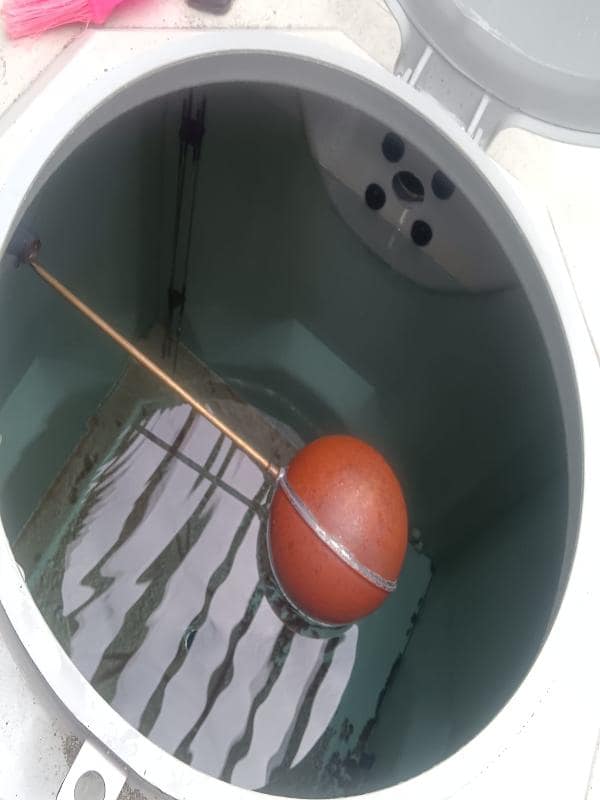 WhatsApp Image 2026-01-23 at 2.53.30 PM