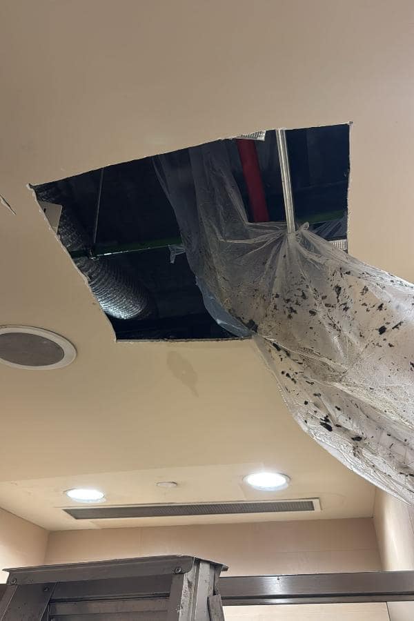 WhatsApp-Image-2025-10-18-at-10.27.08_1c72147b