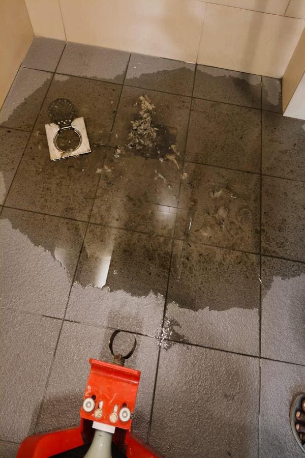 WhatsApp-Image-2025-10-22-at-20.23.33_12c04ea7